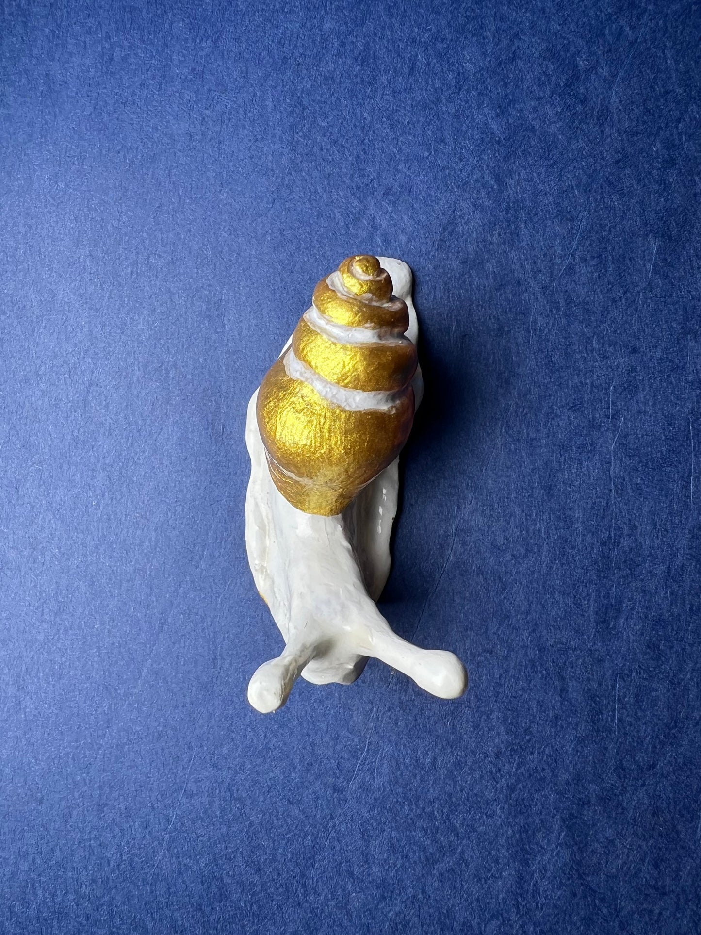 Snail